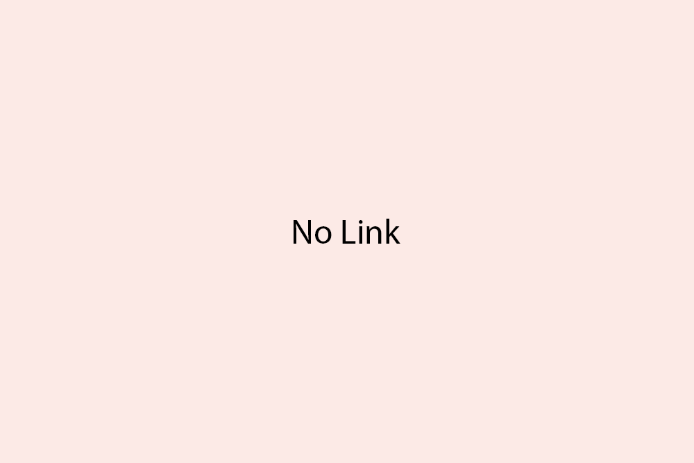 Wild in Art – No Link